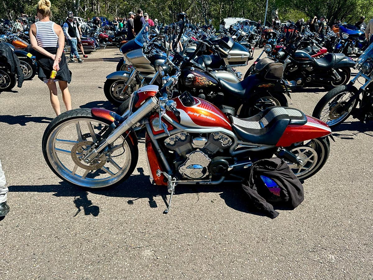 Custom motorcycle detail shot